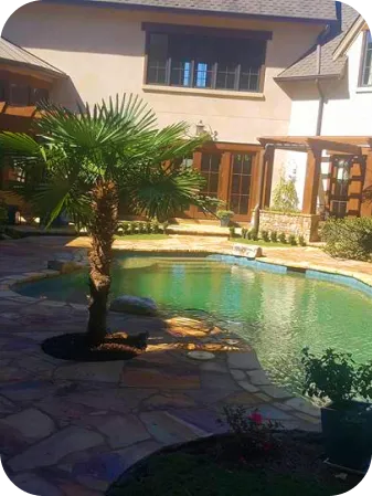 garden